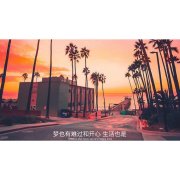 歌曲分享：孤