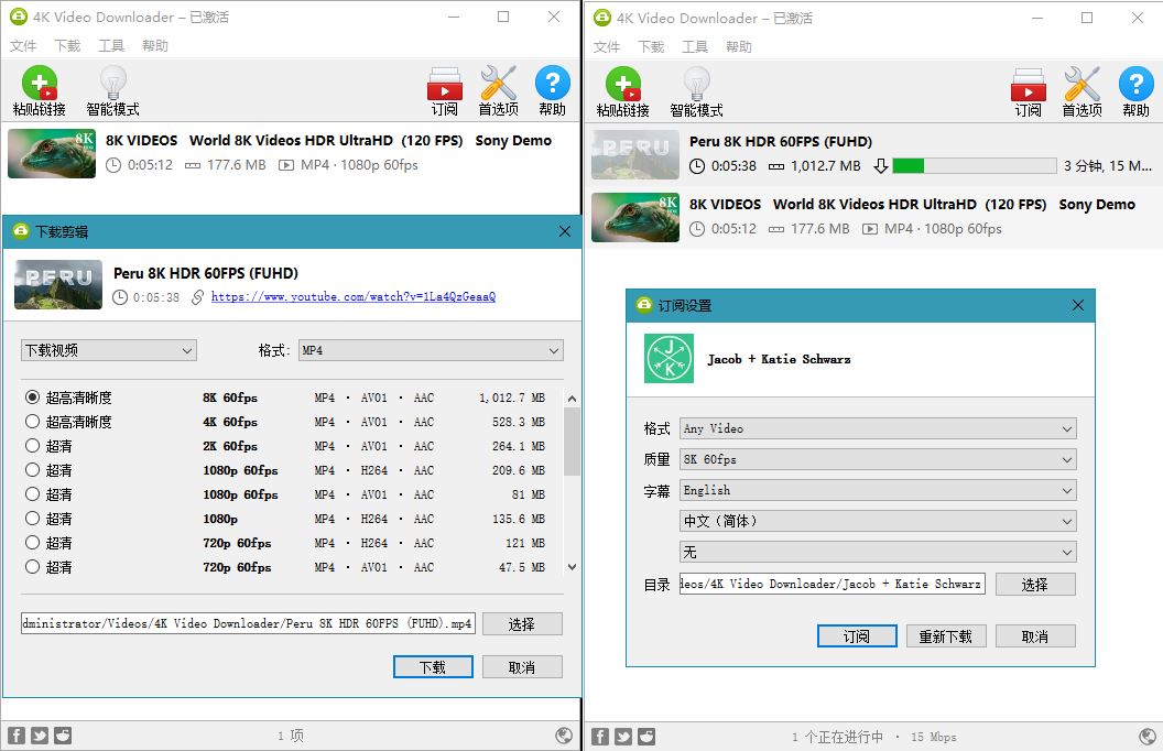 【软件】4K Video Downloader v4.31.0.0092