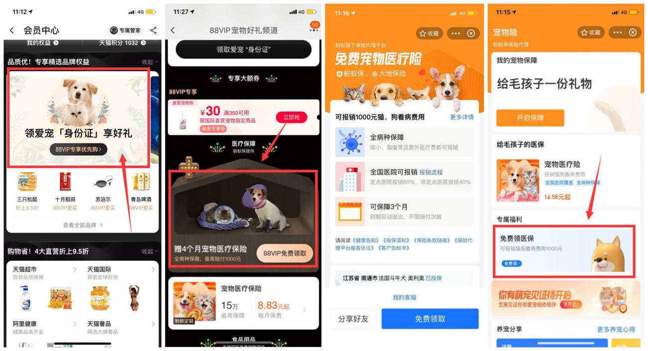 免费领取3~4个月宠物保险